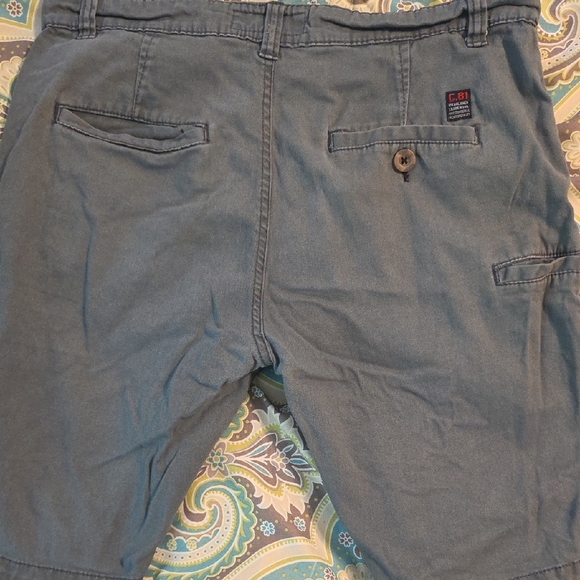 Blue and Green Flat Front Shorts Relaxed Fit - Picture 7 of 8